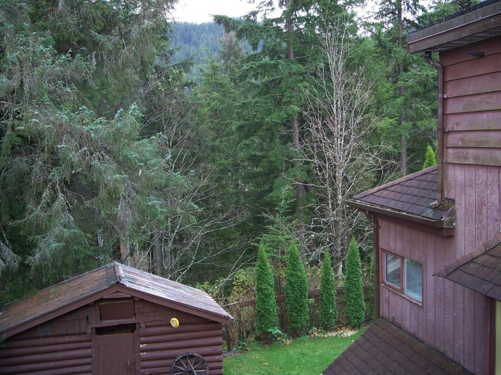 Tall Trees Bed & Breakfast ปรินซ์รูเพิร์ต ห้อง รูปภาพ