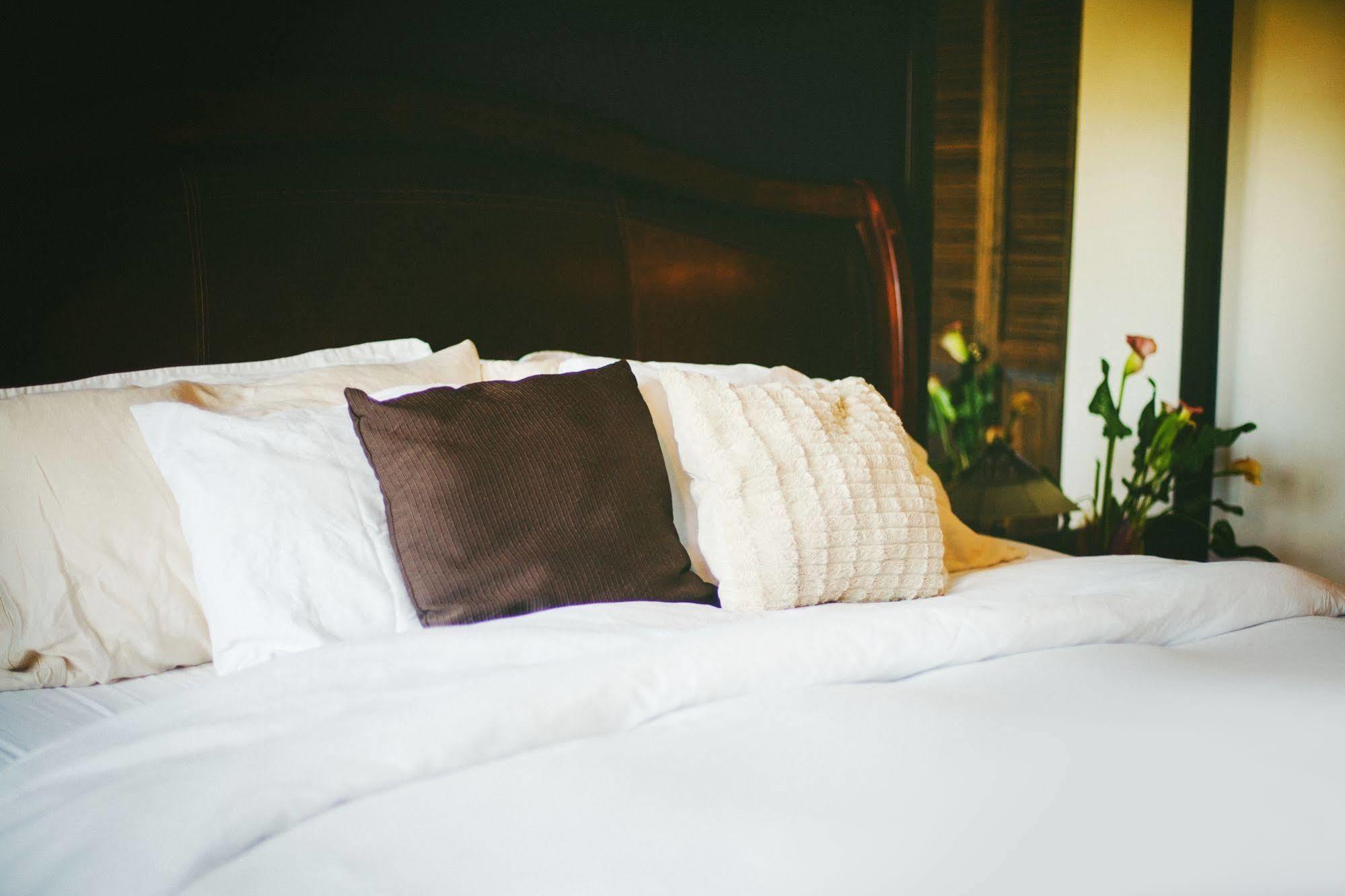 Tall Trees Bed & Breakfast ปรินซ์รูเพิร์ต ภายนอก รูปภาพ